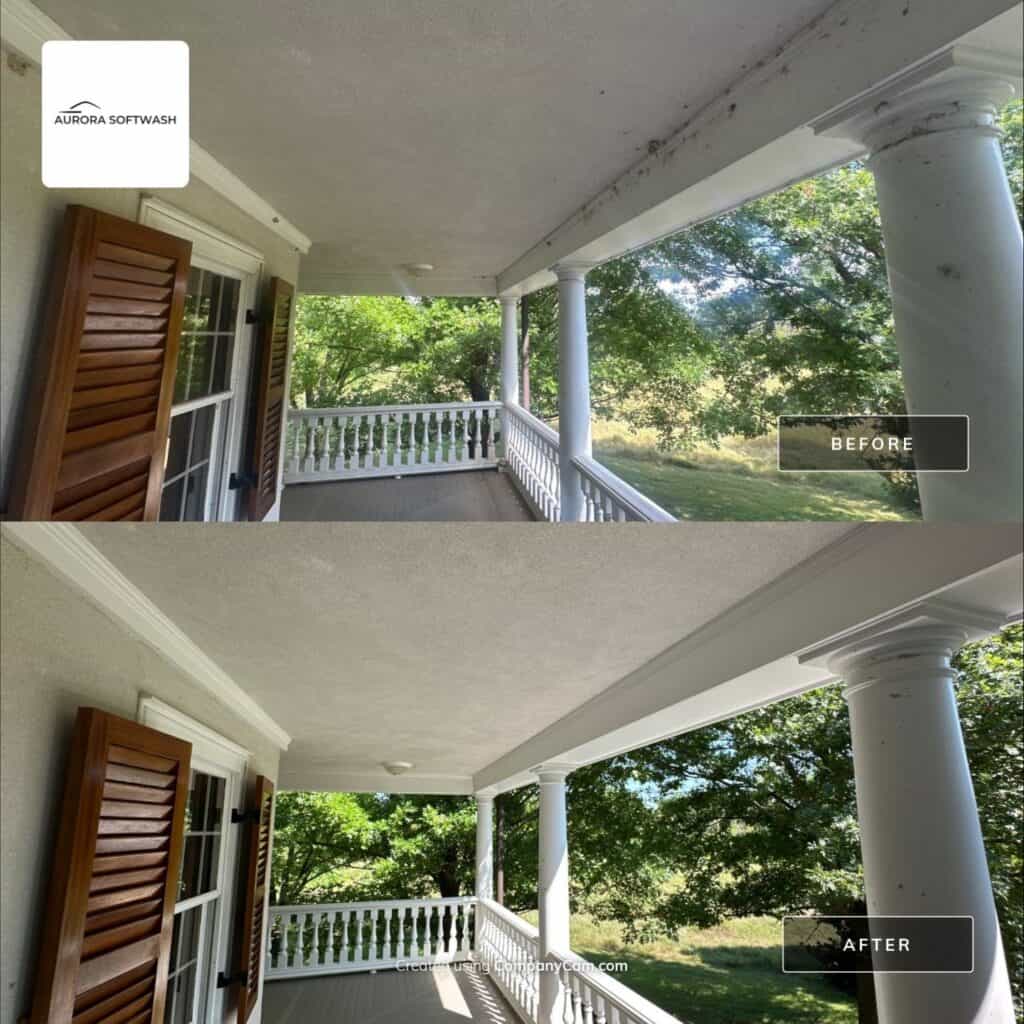 House washing removing insect nests and cobwebs in Allen Texas by Aurora Softwash