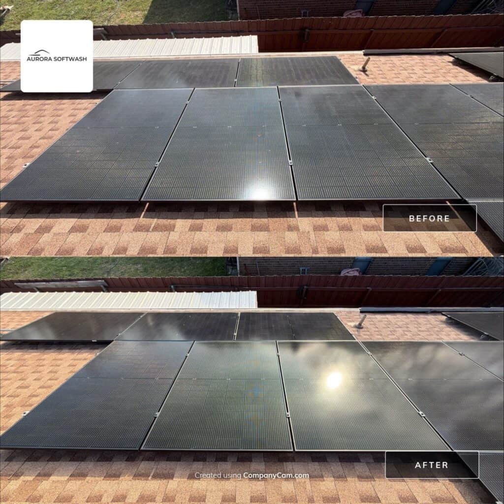 Residential solar panel cleaning service in Allen Texas by Aurora Softwash